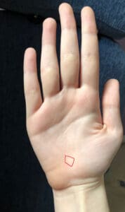 female palm with traveling square