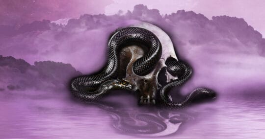snakes in dreams featured image