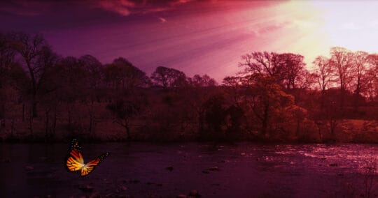 introduction to mindfulness