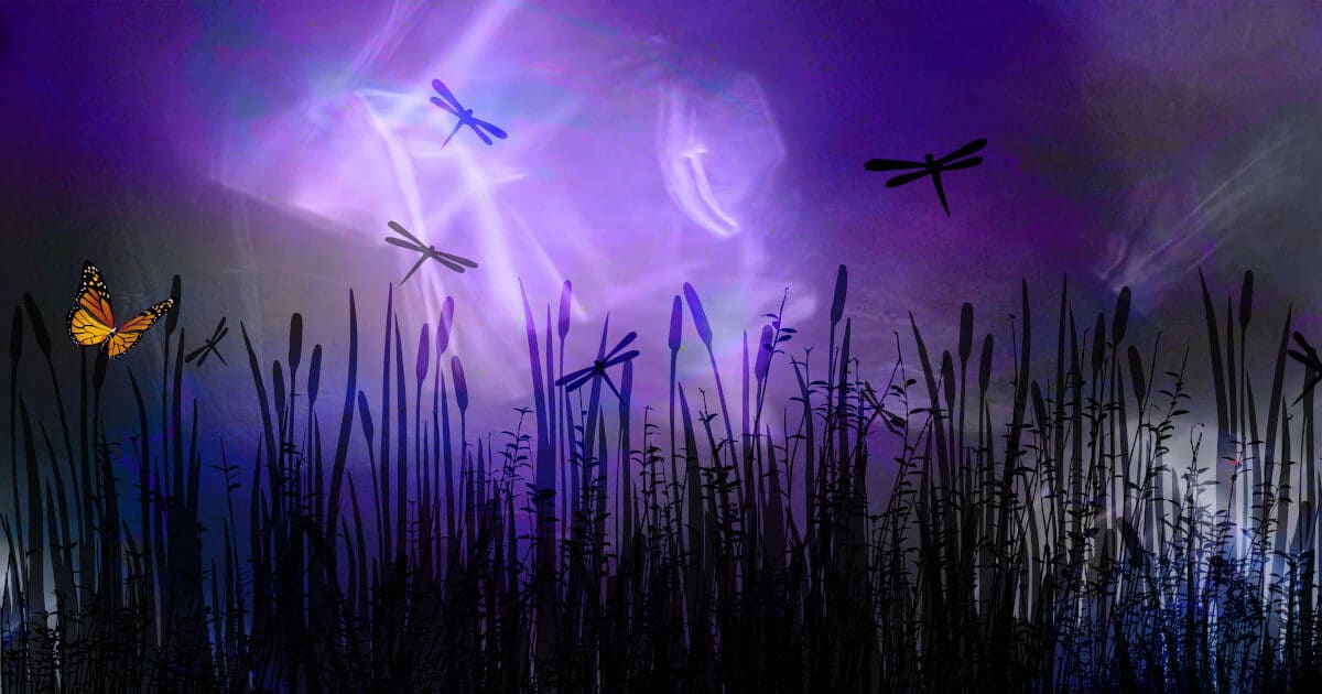 spiritual meaning of dragonfly featured image