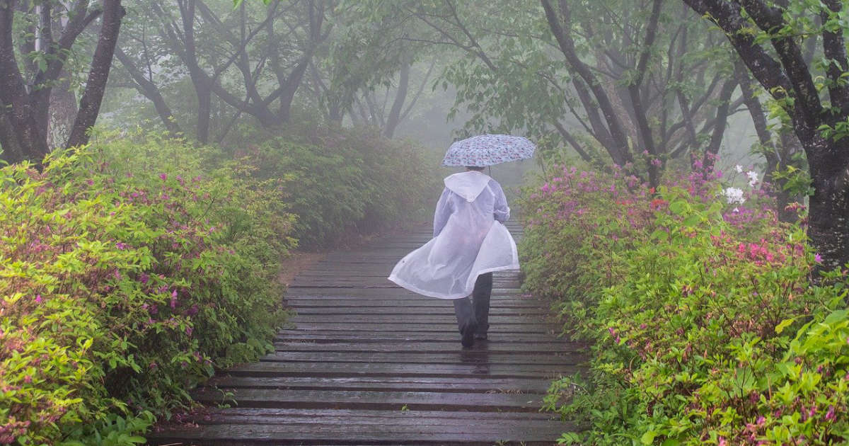 Person with an umbrella on a rainy day